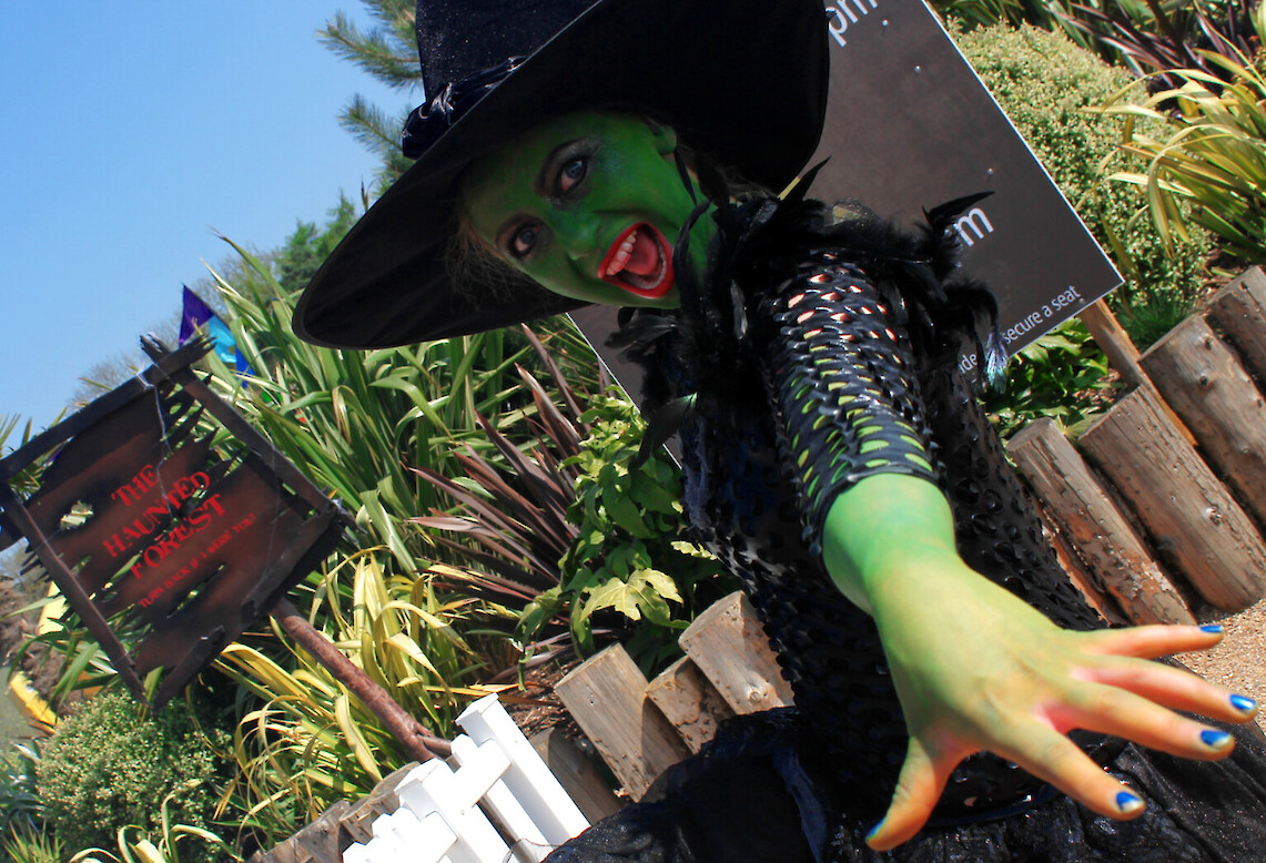 hire wizard of oz pantomime actors