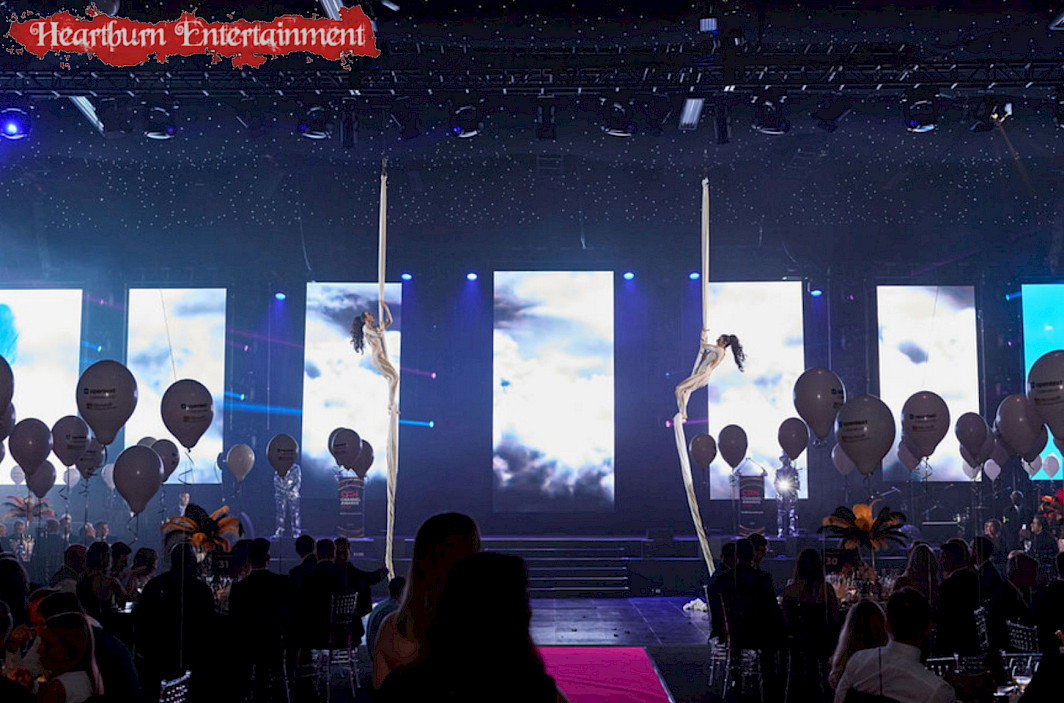 hire aerial silk performers